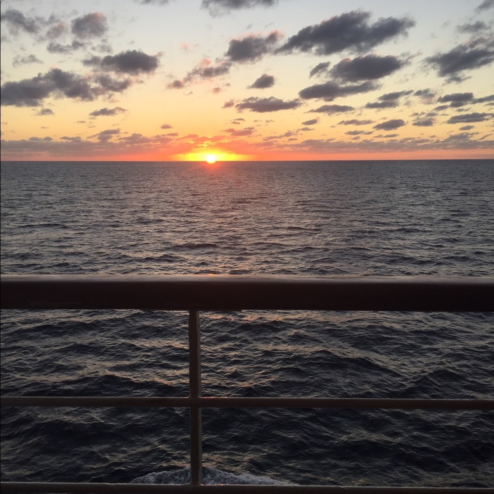 Meet your Posher, Mattie